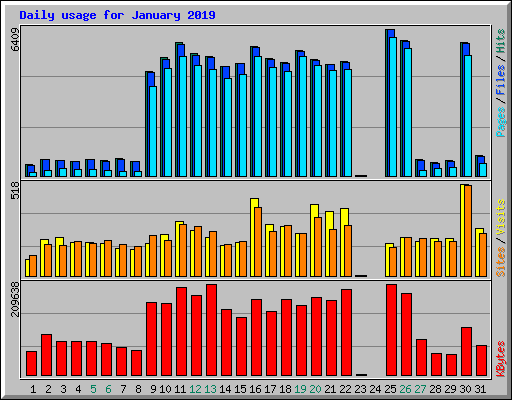 Daily usage for January 2019