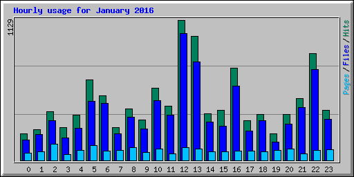 Hourly usage for January 2016