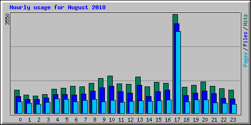 Hourly usage for August 2018