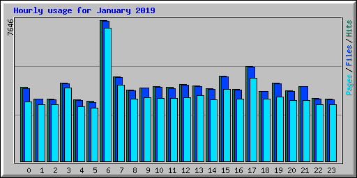 Hourly usage for January 2019