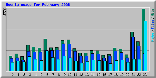 Hourly usage for February 2026